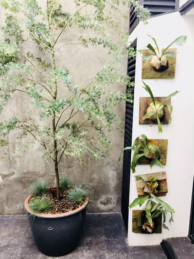 Appartamento Casa Dovela Città del Messico Esterno foto